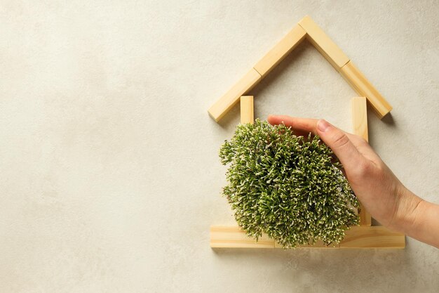 Ekologiczne izolacje: Jak wybrać przyjazne środowisku materiały do ocieplania domu?